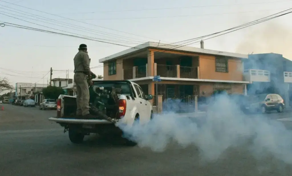 Fumigación en CDMX: Control de Plagas Rápido y Seguro