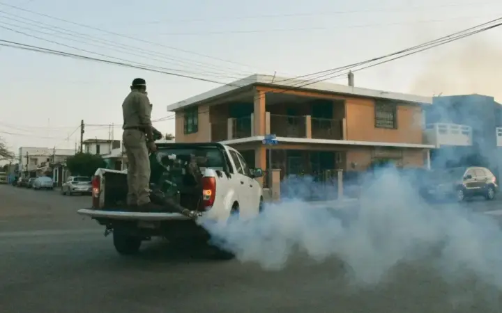 Fumigación en CDMX: Control de Plagas Rápido y Seguro