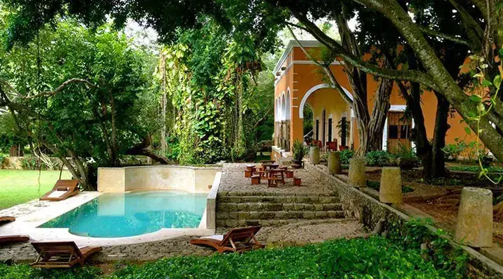 Gardening Service in Mérida for Homes and Yards